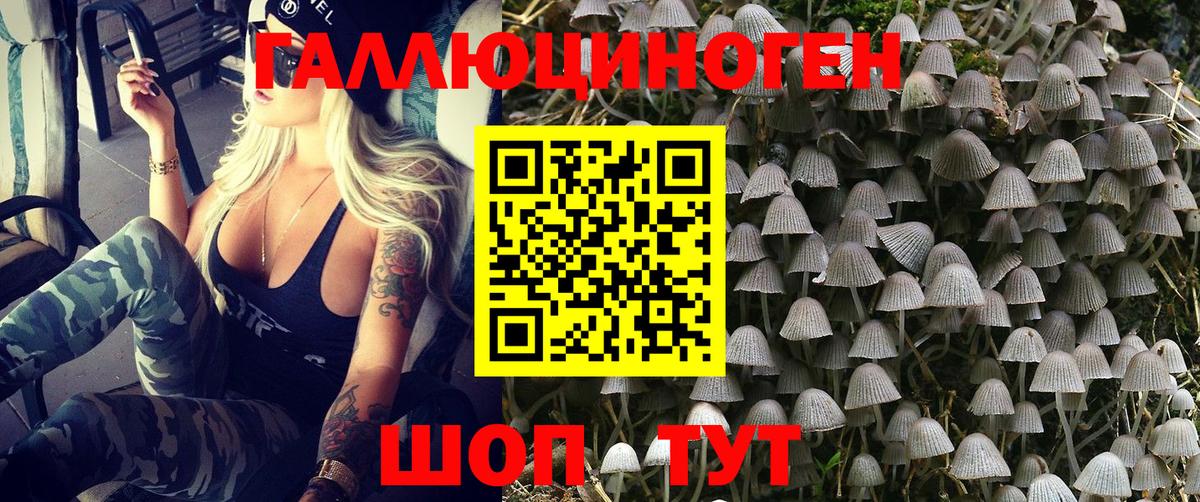 Псилоцибиновые грибы Psilocybine cubensis Луховицы