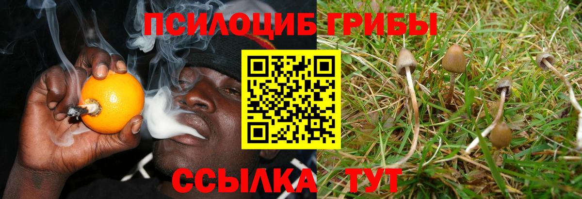 Псилоцибиновые грибы GOLDEN TEACHER  Вход с VPN  Псилоцибиновые грибы Psilocybe  Луховицы 